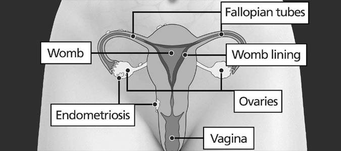 Women's Health Quiz
